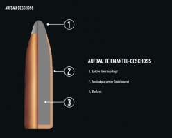 .22 Hornet - RWS Teilmantel Spitz 3,0g / 46gr. | Waffen Falch