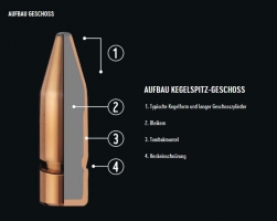 .243Win. - RWS Kegelspitz 6,2g / 96gr. | Waffen Falch